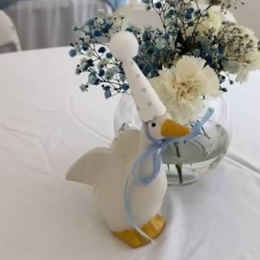 Viral Target Goose - 20